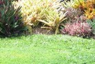 Belconnenlawn-and-turf-15.jpg; ?>